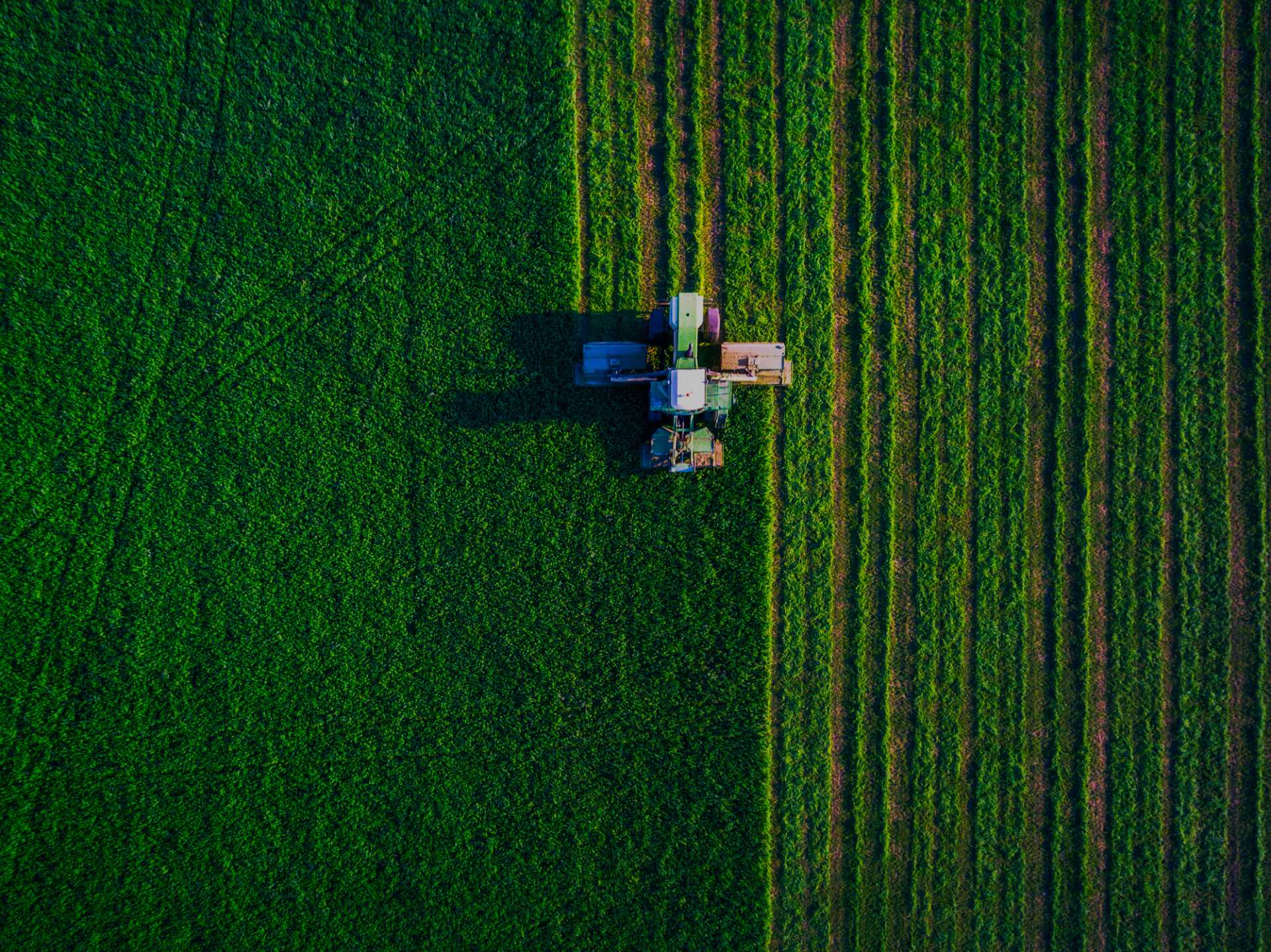 harvester Resize 2